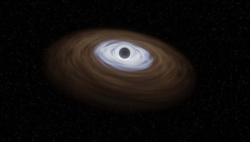 Black Hole Investigations